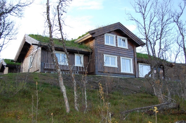 Geilo laft 55611601